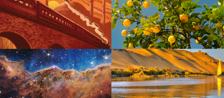 images that looks like some of those books i read, a train for tsc, a galaxy, lemon tree book